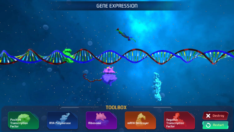 Educational Simulations Portfolio: Gene Expression Project - ZeroHint